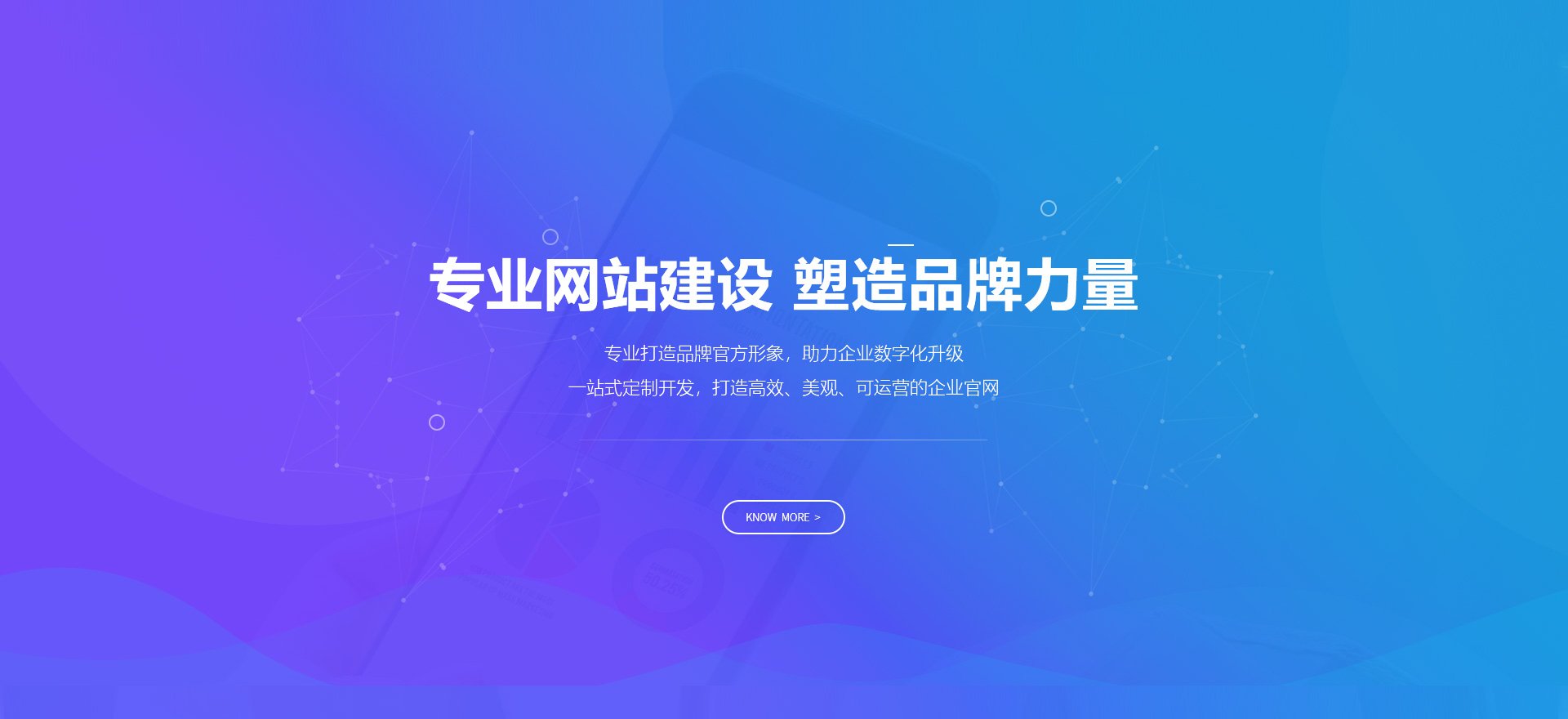 阿拉善盟建站-专业网站建设 塑造品牌力量