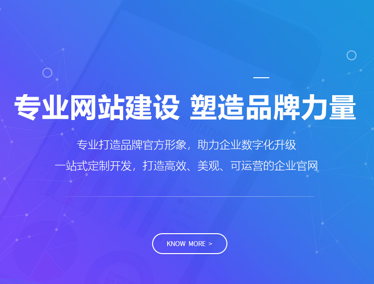 阿拉善盟建站-专业网站建设 塑造品牌力量